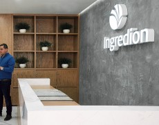 Remodelación Oficinas Corporativas WTC GDL (2017) Proyecto y Construcción